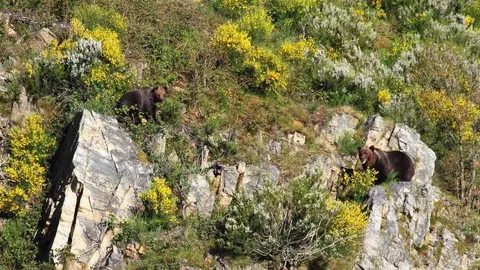 fuentes-narcea-planes-primavera-asturias
