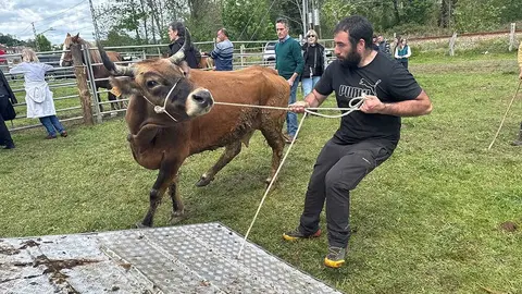 feria-sevares-semana-santa-2025-012