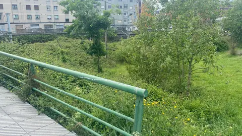 El PP de Siero se queja del abandono de las zonas verdes del concejo