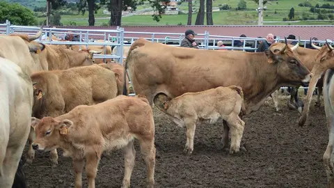 feria-san-isidro-llanera-013