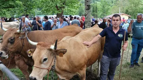 feriona-corao-2025-036