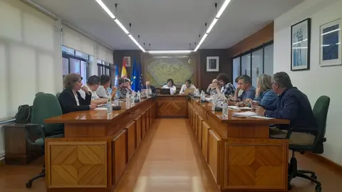 Un momento del Pleno extraordinario celebrado en Llanera