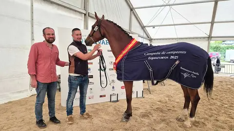 campeon-campeones-adultos-zafiro-yeguada-del-rey
