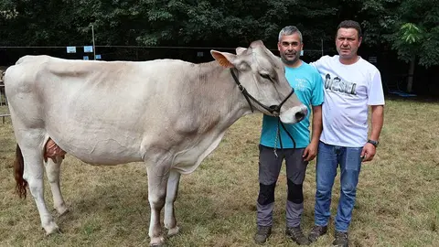 concurso-ganados-oriente-arriondas-2025-06