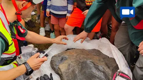 huella-dinosaurio-oles-muja