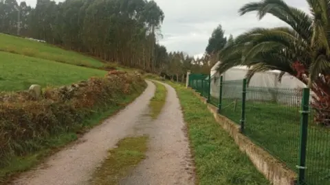 mejora-acceso-cordal-pion-villaviciosa