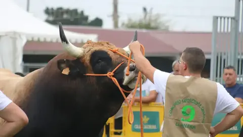 El presidente del PP de Llanera se muestra muy descontento con la organizaci&oacute;n de este importante evento