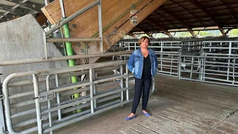 La concejala de Festejos, Mercados y Bienestar Animal, Ana Nosti