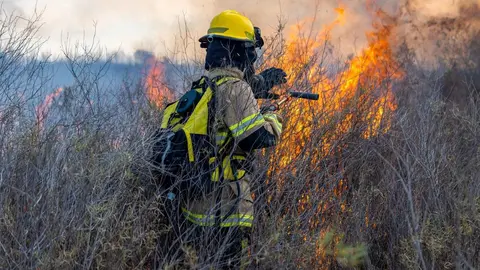 Los incendios forestales contin&uacute;an preocupando en Asturias