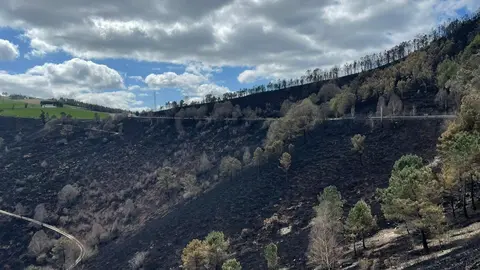 Los incendios en Asturias pueden interferir en las tramitaciones de la PAC