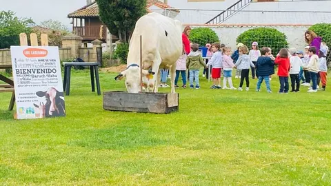 Finca de los Caserinos en Grases