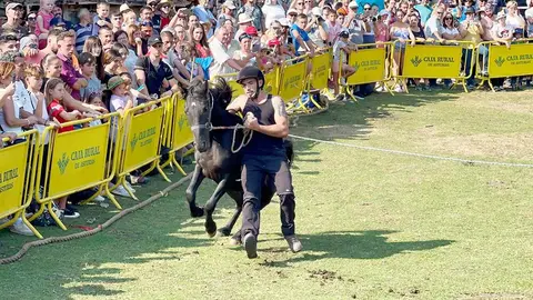 asturcon-2025-portada