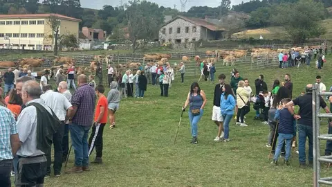 feria-san-cipriano-penamellera