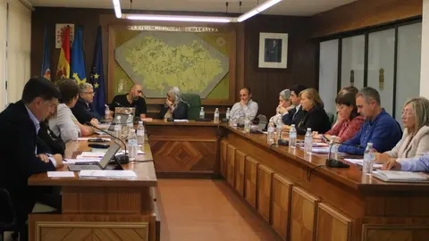 Un momento del pleno municipal de Llanera