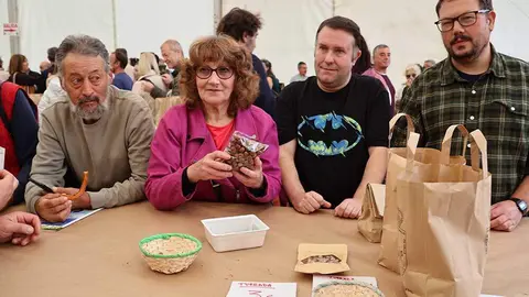 festival-avellana-infiesto-043