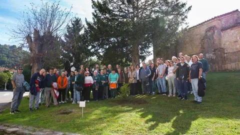 plantacion-arboles-emburria