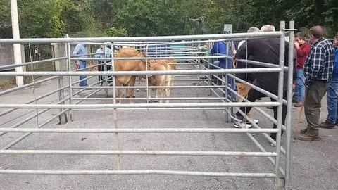 feria-san-miguel-xatos-santillan