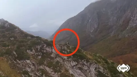 rescate-corredor-montana-ponga