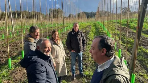 Visita plantaci&oacute;n manzanos Llames.