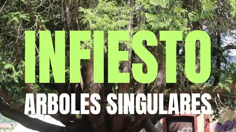 arboles-singulares-infiesto