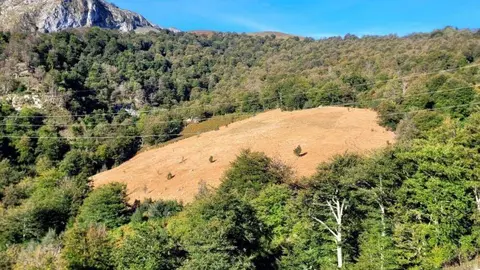 desbroces-amieva-penamellera