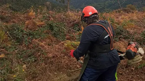 plan-empleo-villaviciosa