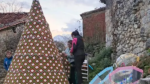 arbol-tapetes-asiegu-02