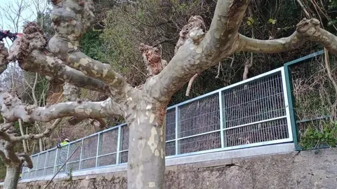 reforma-puerto-ribadesella