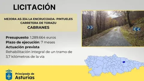Licitaci&oacute;n carretera Torazu.