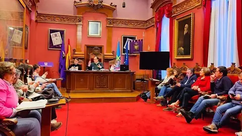 Momento del pleno extraordinario celebrado el pasado 30 de diciembre.