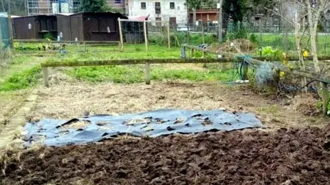 Huertos urbanos en La Llavandera, Llanes.