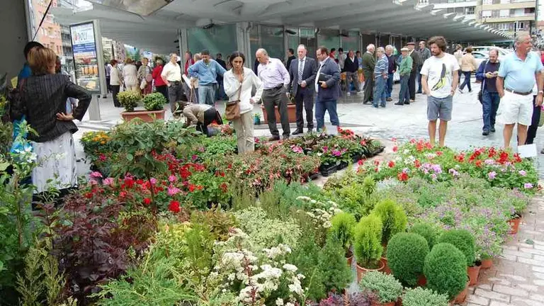 Mercadillo de la pola 2.jpg