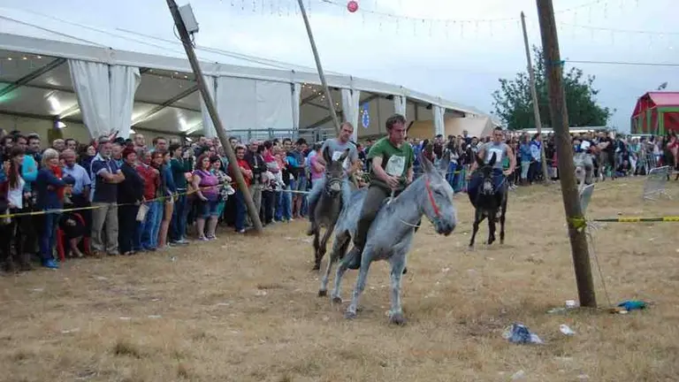 carrera burros interior web.jpg