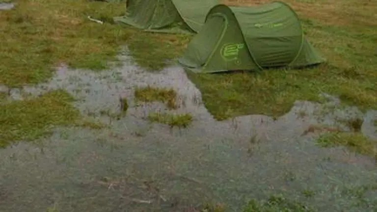 campinos de la alisal 2.jpg