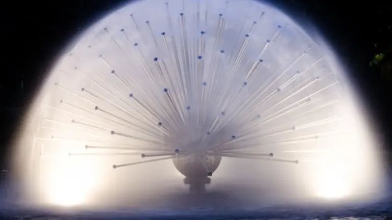 Foto Ganadora web.jpg