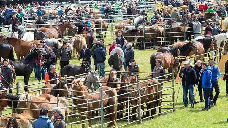Feria de Ganado en LLanera