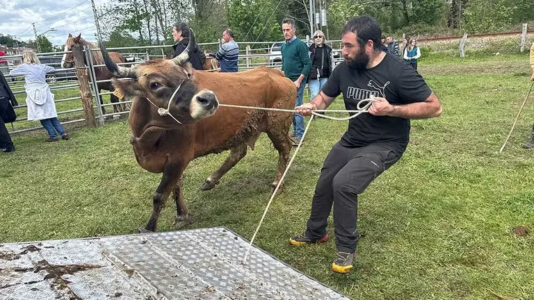 feria-sevares-semana-santa-2025-012