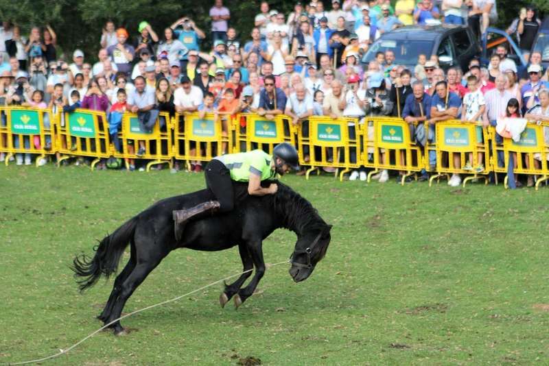 sueve-asturc&oacute;n-escurridizu