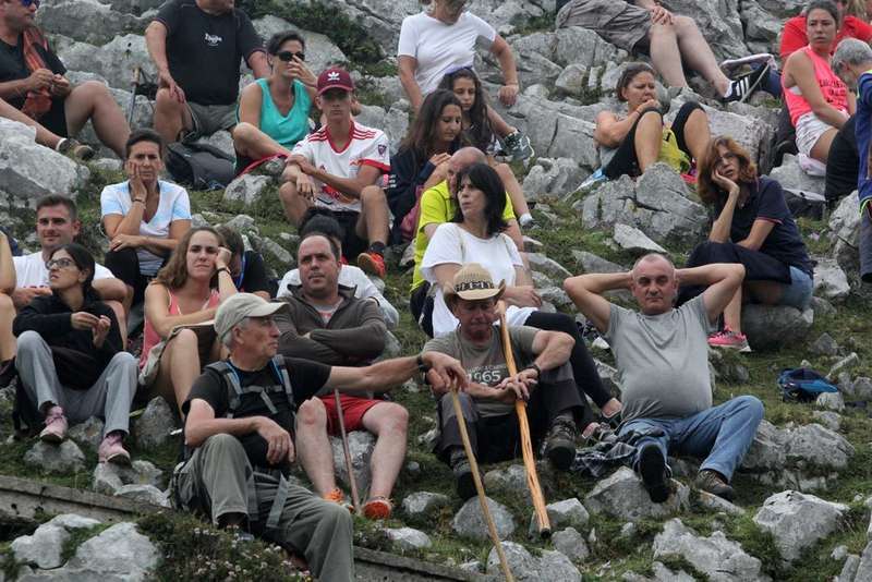 asturc&oacute;n-sueve