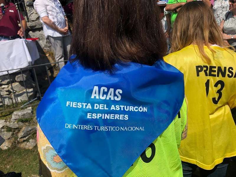 asturc&oacute;n-sueve