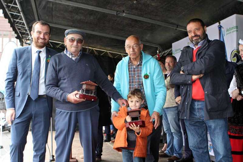 avellanero-joven-veterano-infiesto