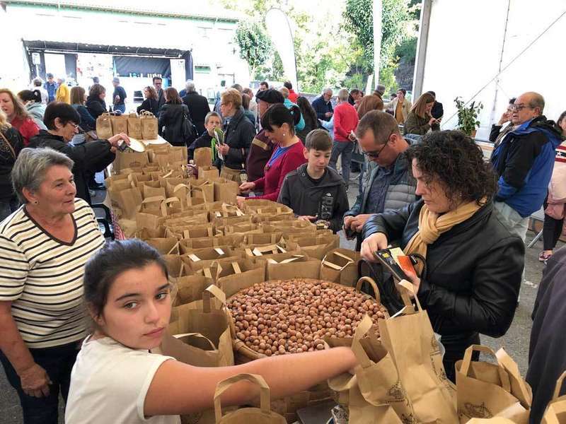 avellana-infesto-festival