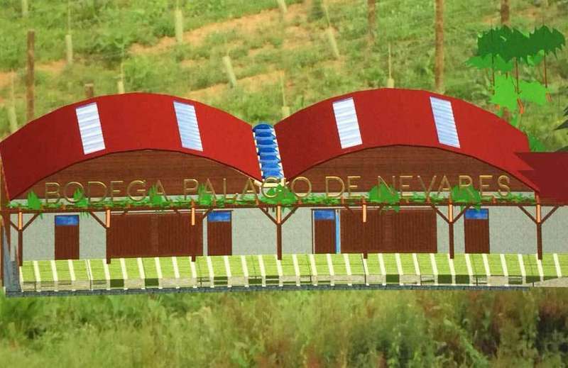 bodega-palacio-nevares