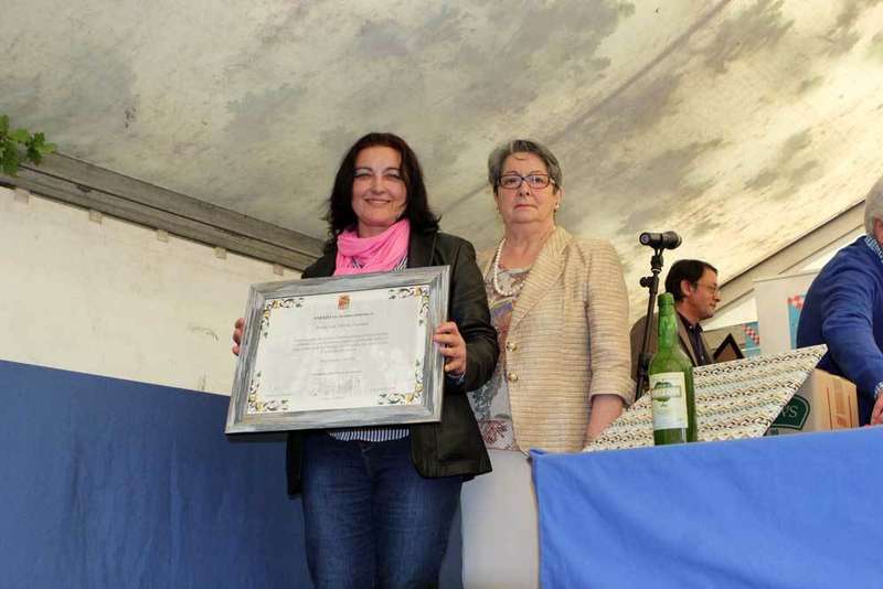 boro&ntilde;a-torazu-loli-cotariella