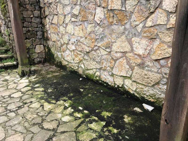 buferrera-lagos-covadonga