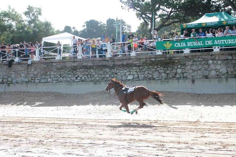 carera-caballos-ribadesella