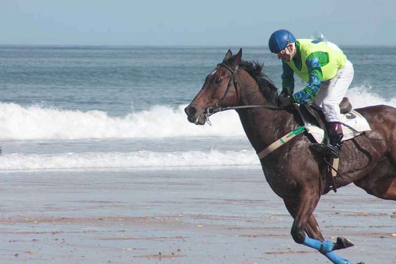 carrera-caballos-ribadesella