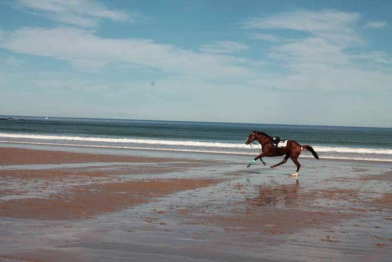 carera-caballos-ribadesella