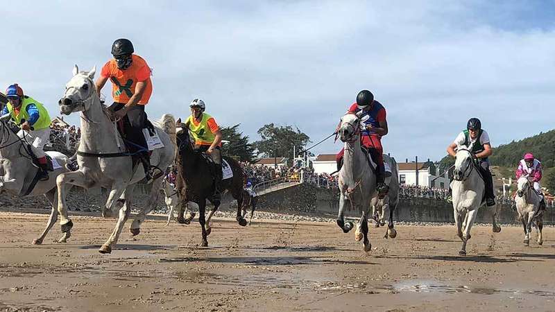 caballos-ribadesella
