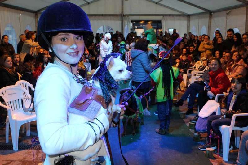 carnaval-mascotas-jinete